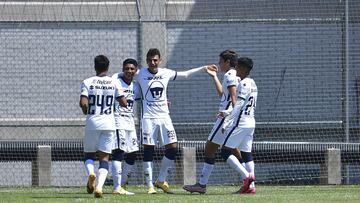 José Navarro festeja con sus compañeros el gol
