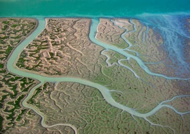 Las marismas del río Guadalquivir, Andalucía, España. 