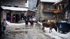 La organización del Freeride World Tour cancela el Georgia Pro por razones de seguridad