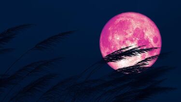 Luna Rosa de abril 2023: ¿Cuándo es, a qué hora y dónde ver en México?