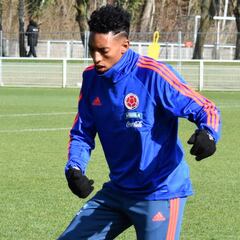 Pékerman y tres dudas a resolver vs Francia y Australia