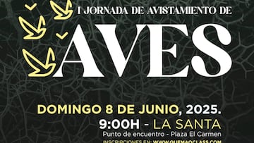 I Jornada Avistamiento Aves La Santa, Lanzarote