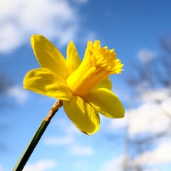 Will daylight savings time be permanent in 2023? Sunshine Protection Act