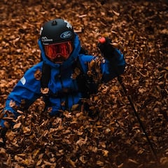 A falta de nieve... buenas son hojas