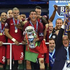 5 campeones increíbles