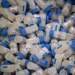 Islandia prueba que la mitad de los positivos son asintomáticos