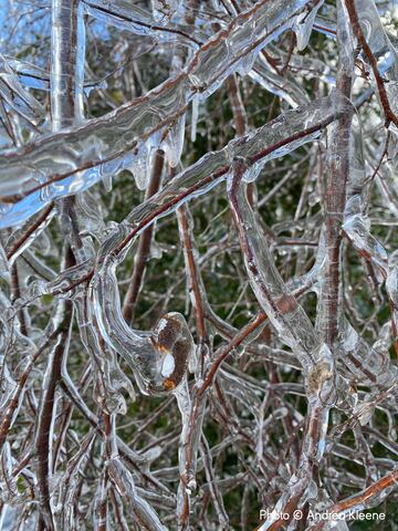 Las espectaculares im¨¢genes del Weather Photographer of the Year 2024