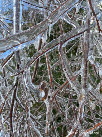 Las espectaculares imágenes del Weather Photographer of the Year 2024