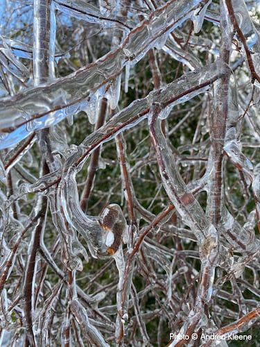 Las espectaculares imágenes del Weather Photographer of the Year 2024