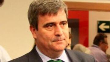 Cardenal: "Lo de Villar es un insulto a la democracia"