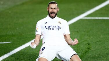 El gato ya es un león