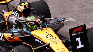 Formula One F1 - Sao Paulo Grand Prix - Autodromo Jose Carlos Pace, Sao Paulo, Brazil - November 9, 2025 McLaren's Lando Norris after winning the Sao Paulo Grand Prix REUTERS/Jean Carniel