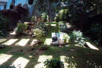 A bouquet of flowers is displayed at the former enclosure of male giant panda An An.