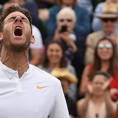 Del Potro: "Es un honor jugar ante el número uno"