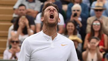Del Potro: "Es un honor jugar ante el n¨²mero uno"