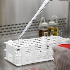 Reino Unido desvela la abultada cifra de variantes del virus que hay ahora mismo en el mundo