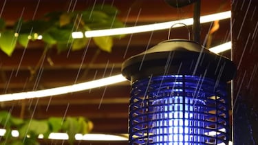 Adiós a los mosquitos en casa: esta es la trampa más vendida que los elimina por completo