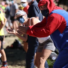 Sin noticias de los gallos