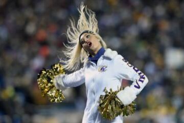 Hablando de frío, sabes que hace mucho cuando las cheerleaders van con forro polar. No, LeGarrette, he dicho forro. FORRO.