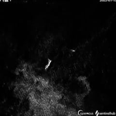 Una isla de Tonga desaparece casi por completo y la onda sísmica se nota en Canarias