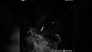 Una isla de Tonga desaparece casi por completo y la onda sísmica se nota en Canarias