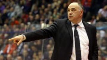Pablo Laso, técnico del Madrid