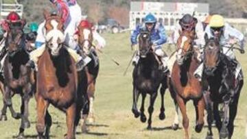 <b>OLEEEEÉ. </b>Mirando a la grada, así cruzó la meta el francés Eyquem sobre Young Tiger. Antes, la Zarzuela homenajeó a Florentino González en su retirada.