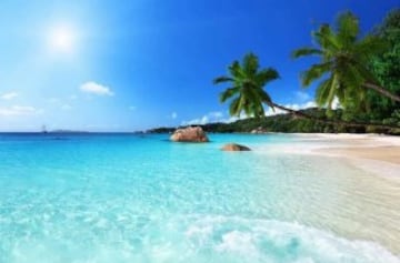 Entre el grupo de 115 islas de las Seychelles, ubicadas en el océano Índico, al noreste de Madagascar, Lonely Planet recomienda dos: Praslin y La Digue, a las que denomina el paradigma del paraíso. 
