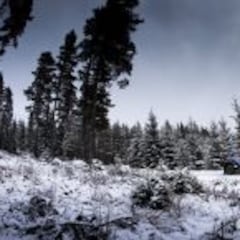 Los pilotos amenazan con boicots si falta seguridad