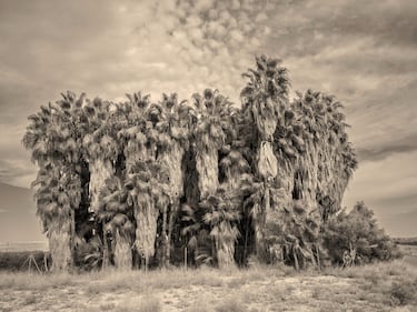 © IPPAWARDS - Iñigo Calles - Spain