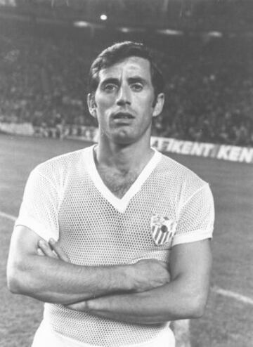 Defendió la camiseta del Atlético de Madrid desde 1969 hasta 1971. Jugó con el Sevilla entre 1971 y 1973.