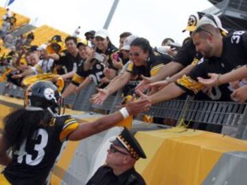 Troy Polamalu ha anunciado oficialmente su retirada de los terrenos de juego después de 12 temporadas defendiendo los colores de los Steelers. En Pittsburgh es toda una leyenda.