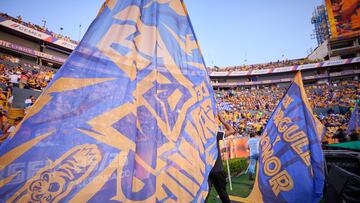 Tigres veta a sus aficionados