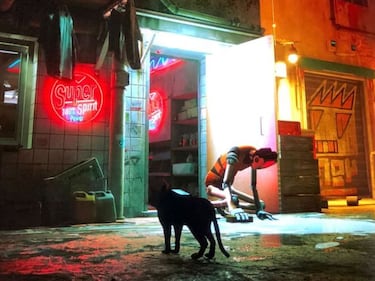 How to get the poncho, cable and detergent in Stray and where to use them?