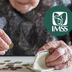 Modalidad 40 del IMSS: ¿Qué es y cuánto aumentaron las nuevas cuotas de pagos 2023?