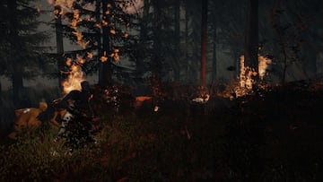 Captura de pantalla - The Forest (PC)