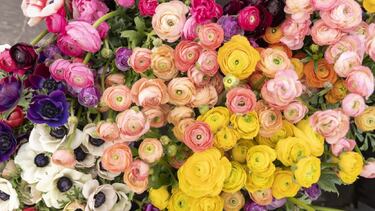 Regala flores en el Da de la Madre: dise?a tu propio ramo y recbelo en casa cuando quieras