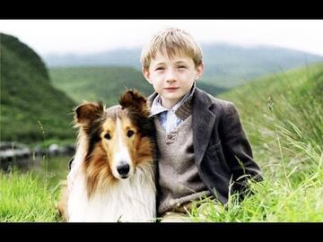 Lassie