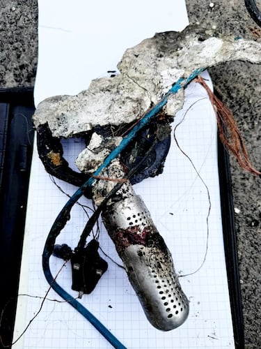 Compra un producto por menos de 20 euros y termina sin casa por un incendio: “Simplemente les dije que lo tiraran a la basura”