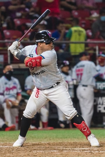 (.263 AVG, 46 H, 6 HR, 33 RBI, 7 2B, 23 R)