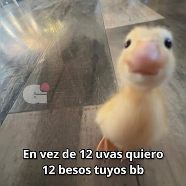 Cristina Pedroche y su vestido de Nochevieja: protagonistas de los mejores memes de Año Nuevo