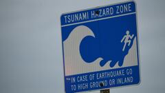 Tsunamis can be incredibly destructive as a wave of water surges onshore carrying all but the most solid objects inland, so what causes them?