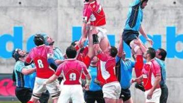 Los Gatos ganan esta touche.