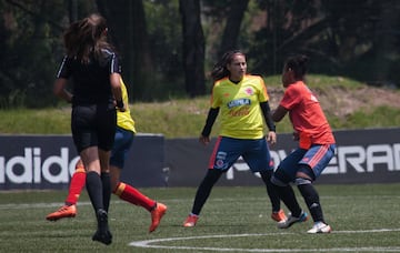 Camino a la Copa América con la ilusión del primer título