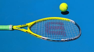 ?Dnde ver la Copa Davis? Sguela en directo en Movistar Plus+
