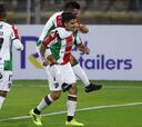 Palestino acompañará a Huachipato en la Sudamericana