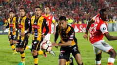 Bolivia y Ecuador amargaron la Libertadores para Colombia