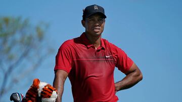 Tiger Woods set to play US PGA Valspar, Palmer events