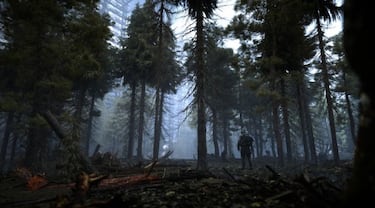 STALKER 2 presenta a su nuevo protagonista, Skif, y actualiza su estado
