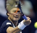 Ferrer gana a Seppi y Andújar da la sorpresa ante Berdych
